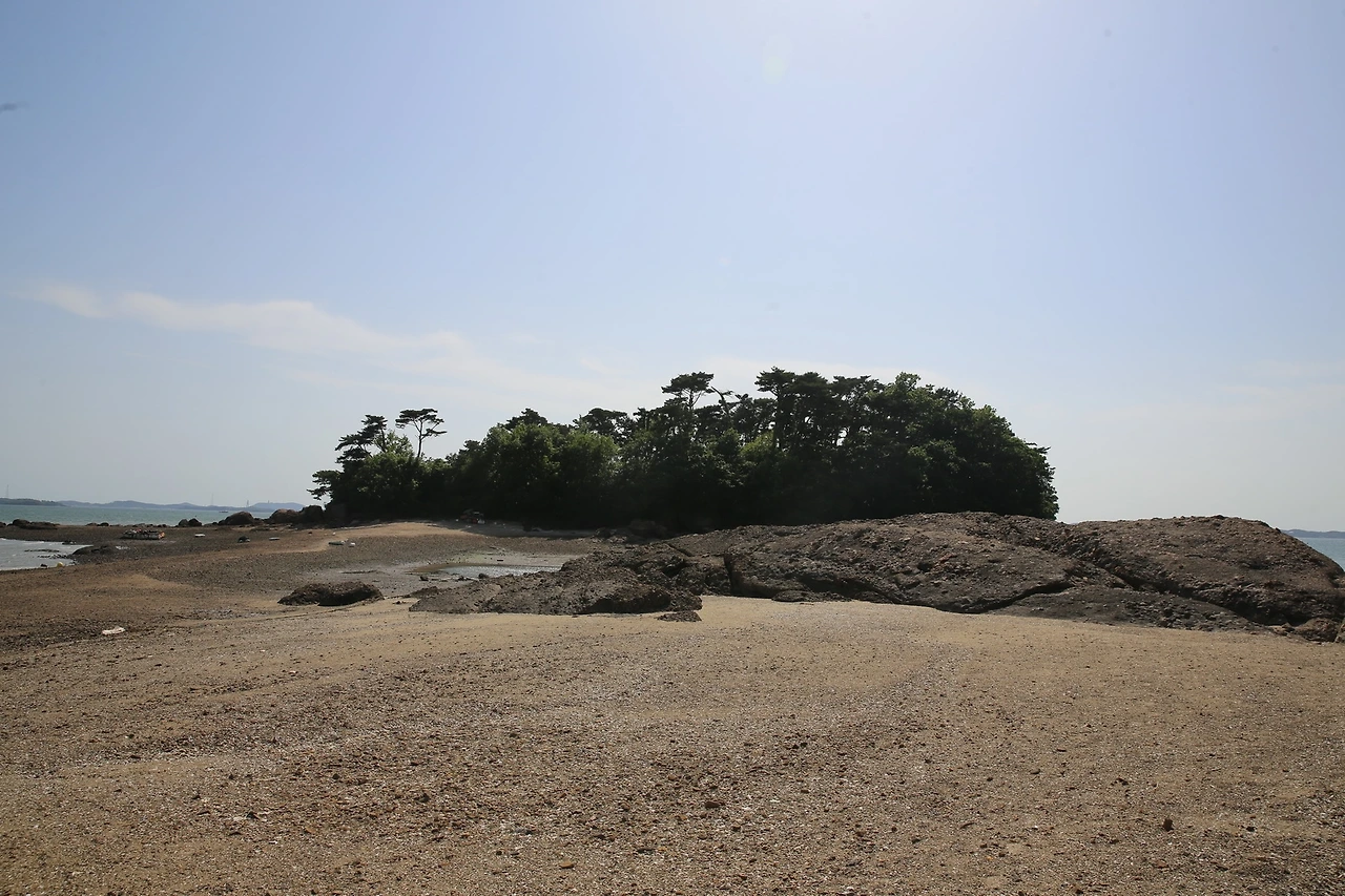 MG0A3924_новый размер.JPG