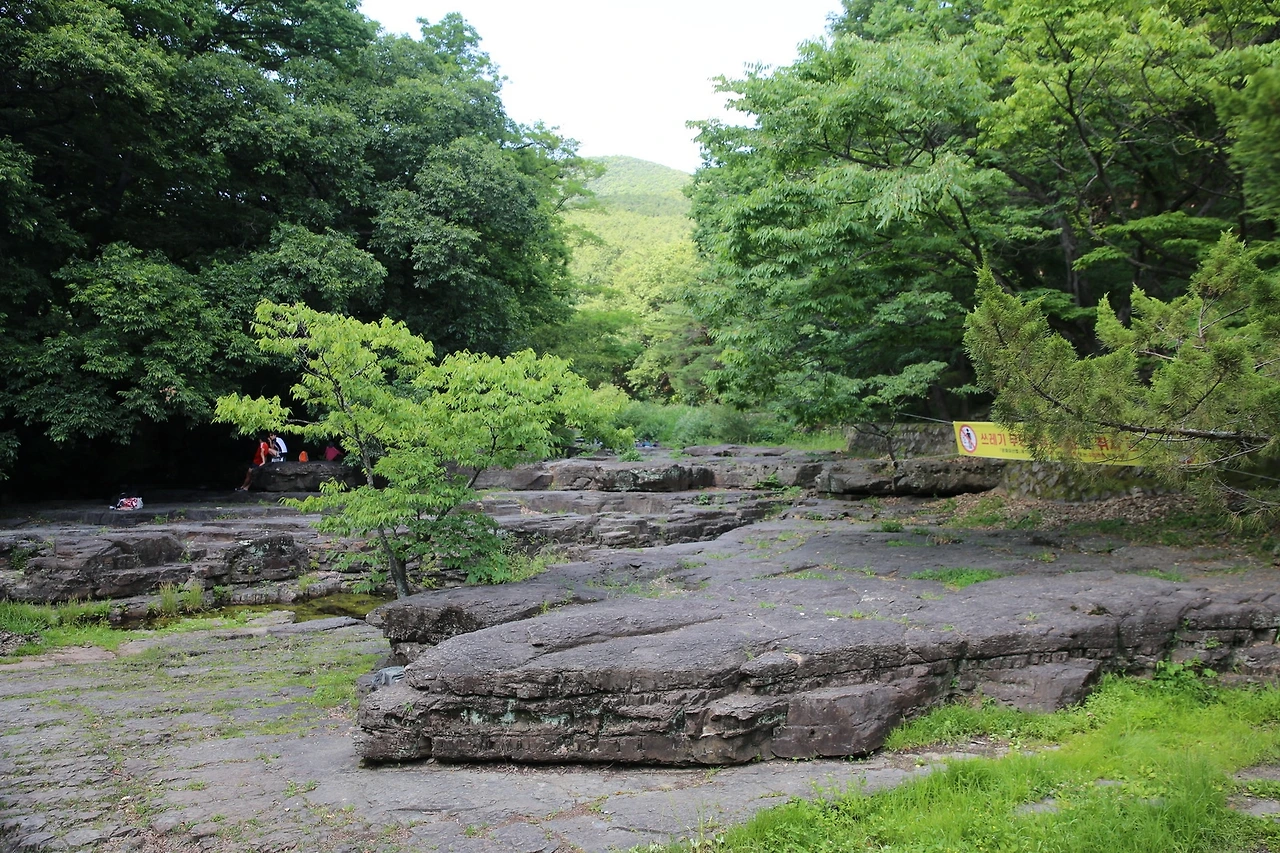 MG0A8202_новый размер.JPG