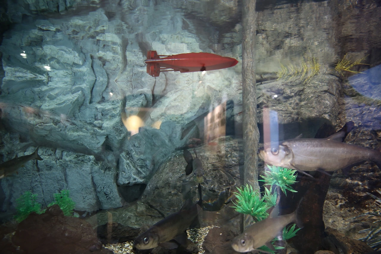 MG0A7704_новый размер.JPG