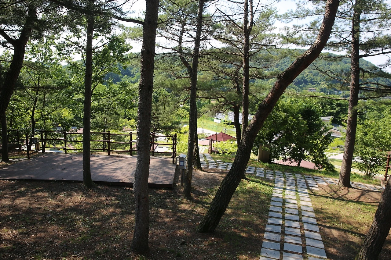 MG0A2213_новый размер.JPG