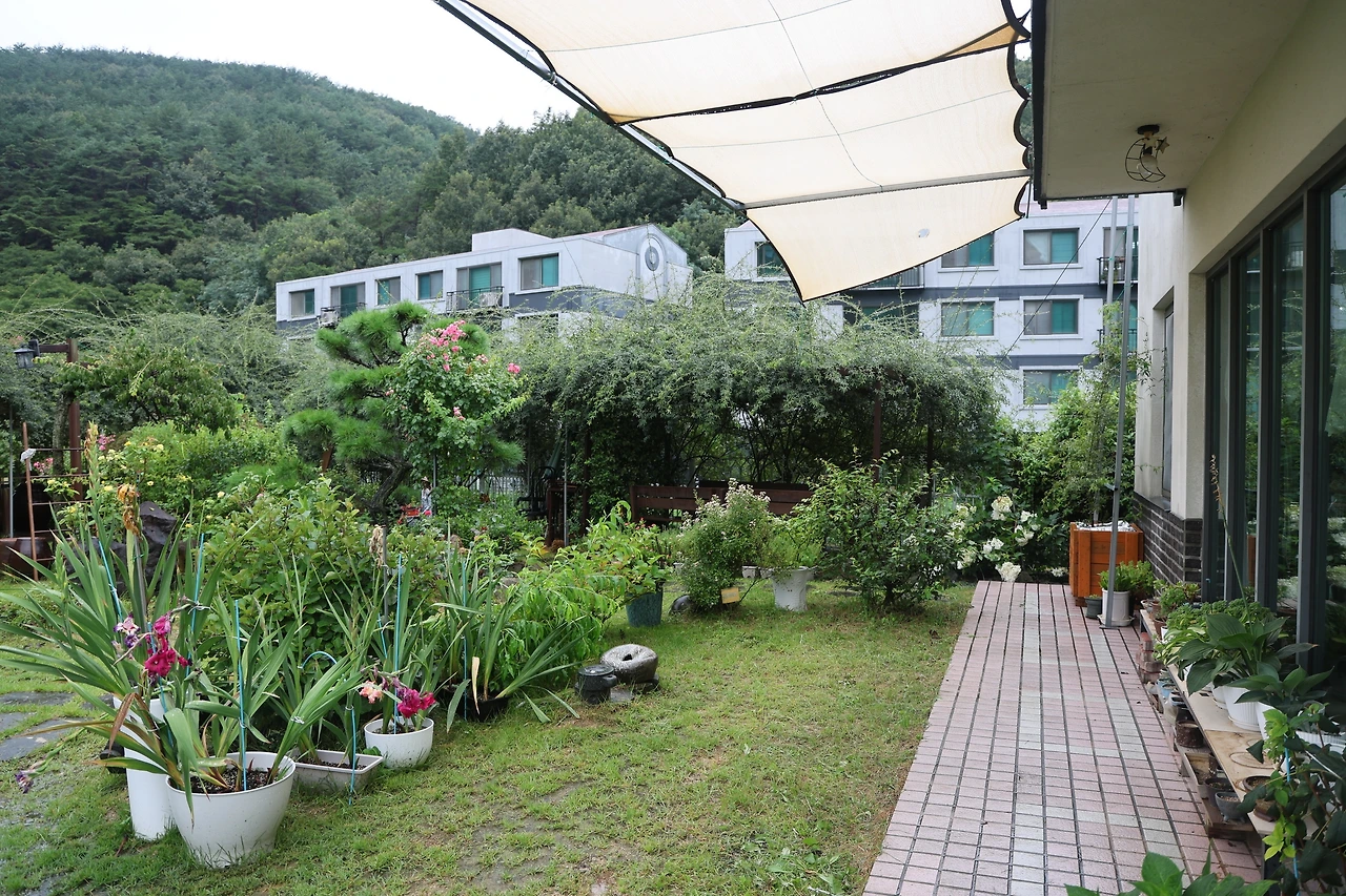 0R5A1415_новый размер.JPG