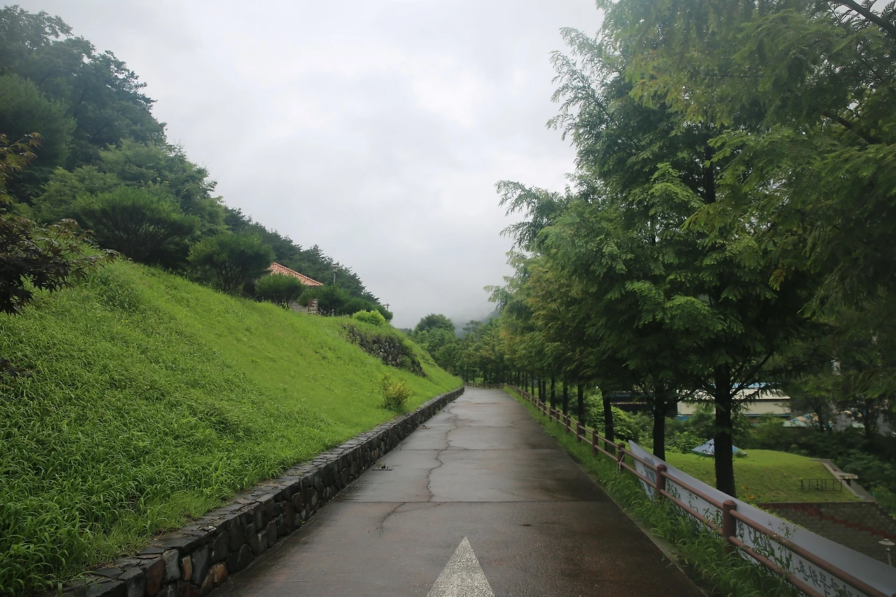 MG0A6354_новый размер.JPG