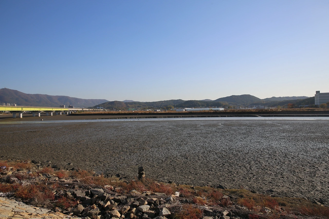 MG0A5610_resize - 복사본.JPG