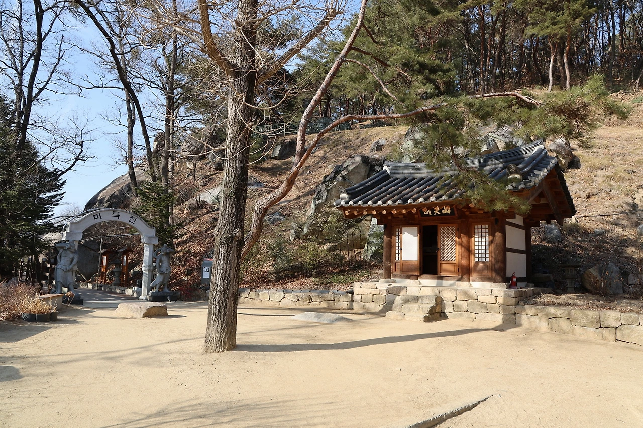 0R5A9213_новый размер.JPG