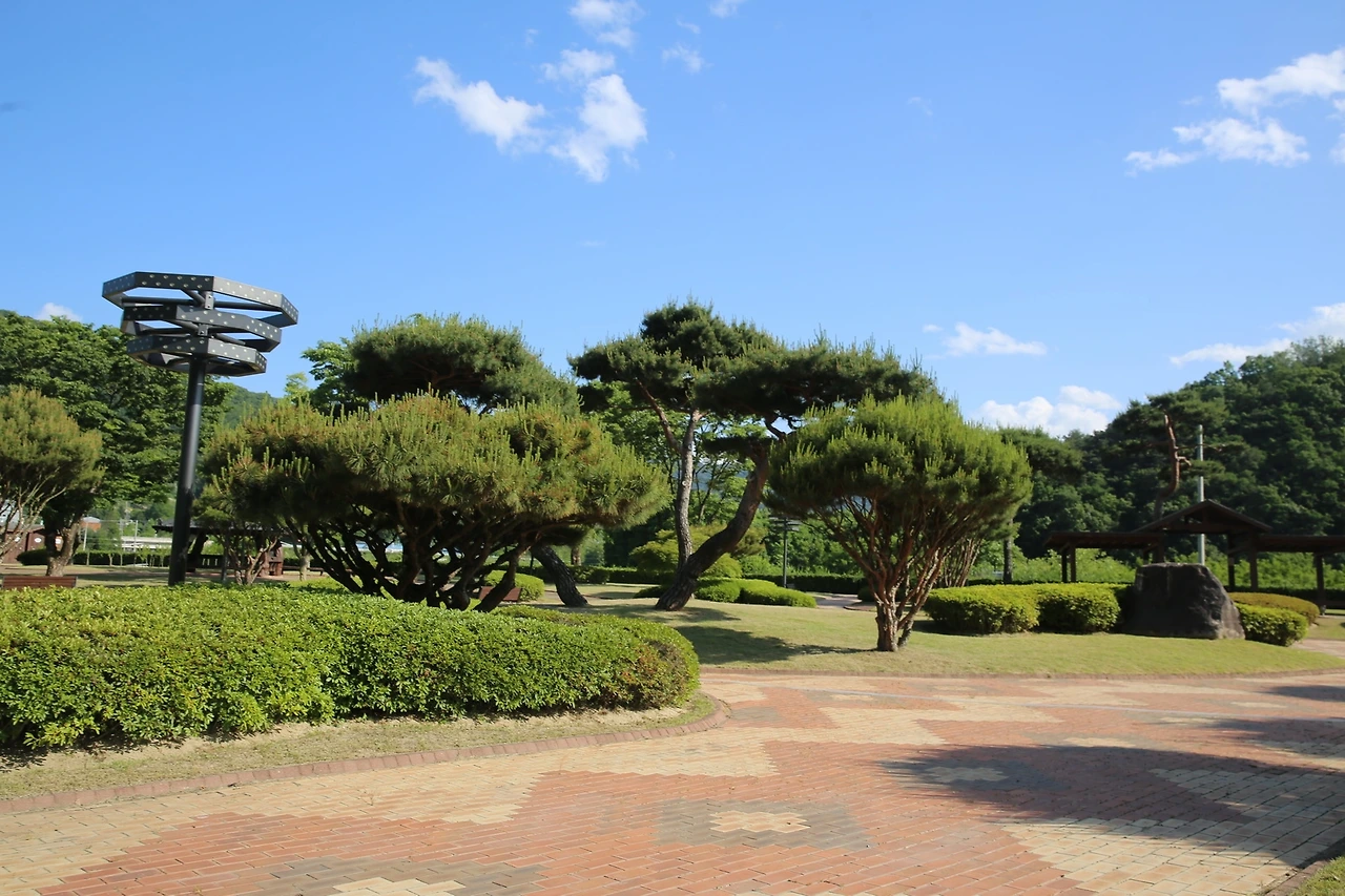 MG0A9488_новый размер.JPG