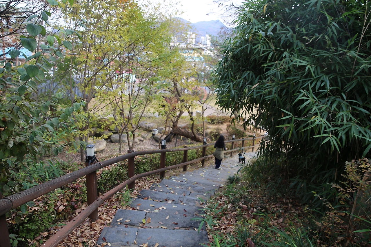 MG0A1765_новый размер.JPG