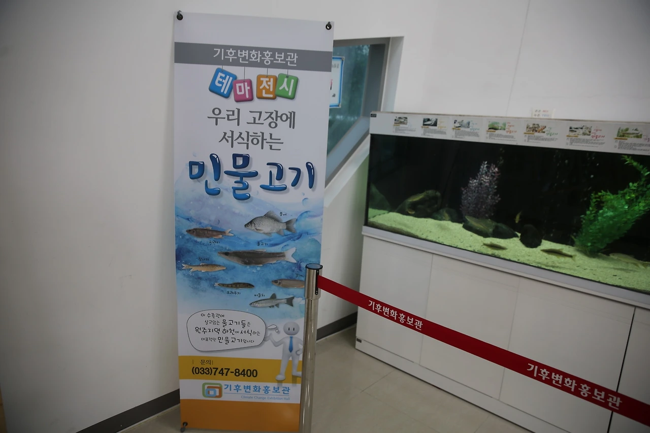 MG0A6110_новый размер.JPG