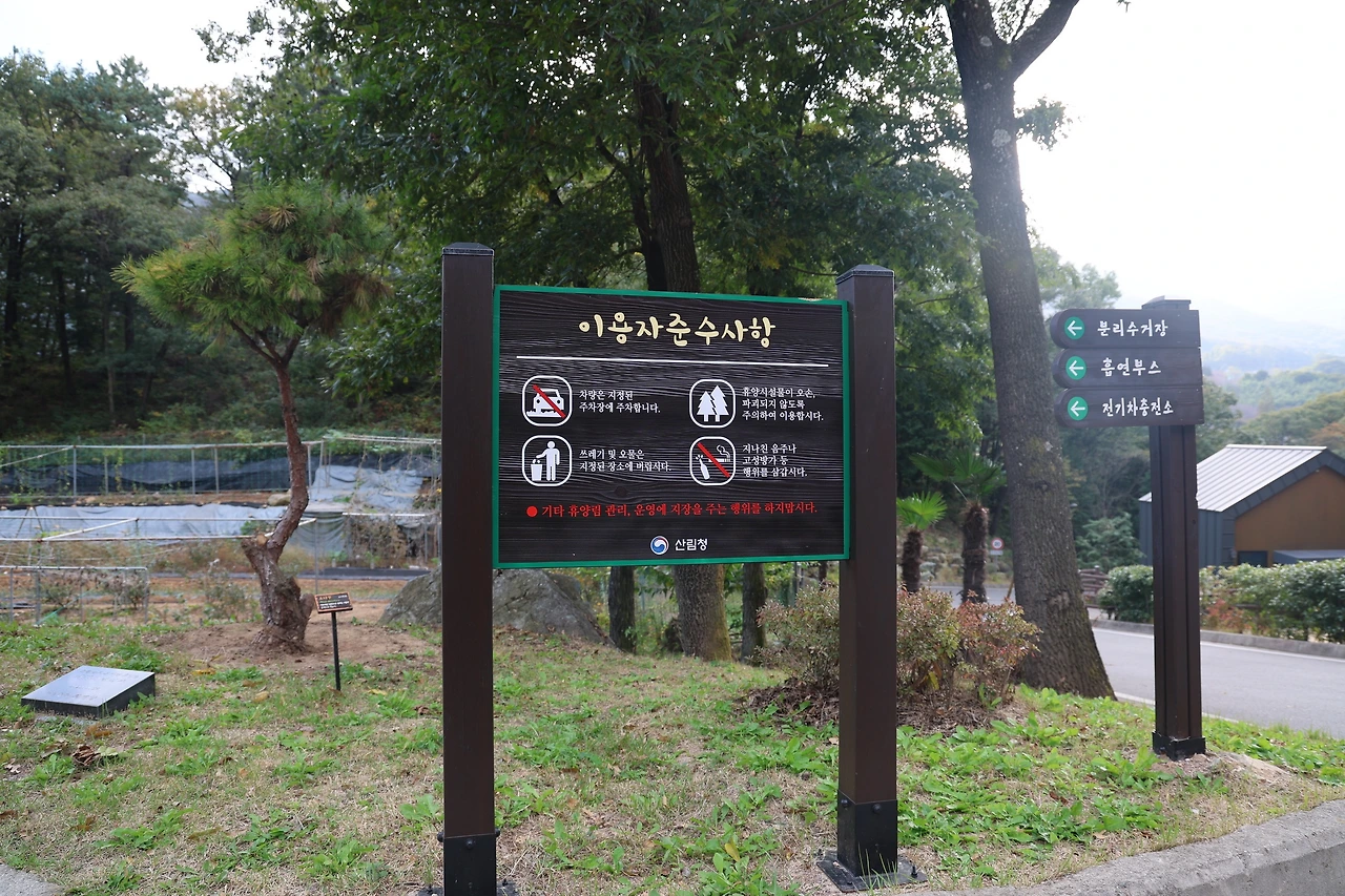 용지봉13.JPG