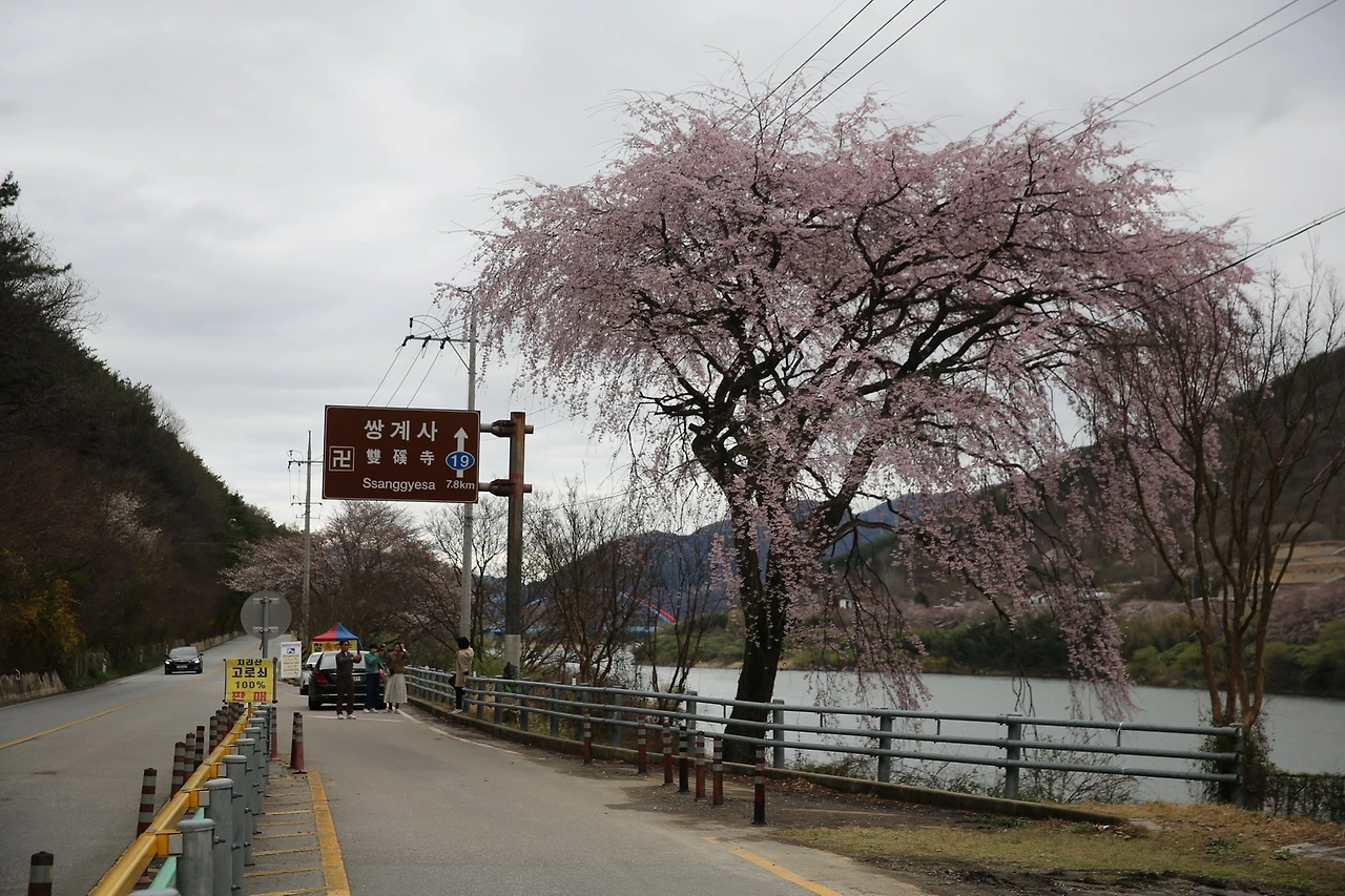 MG0A7267_новый размер.JPG