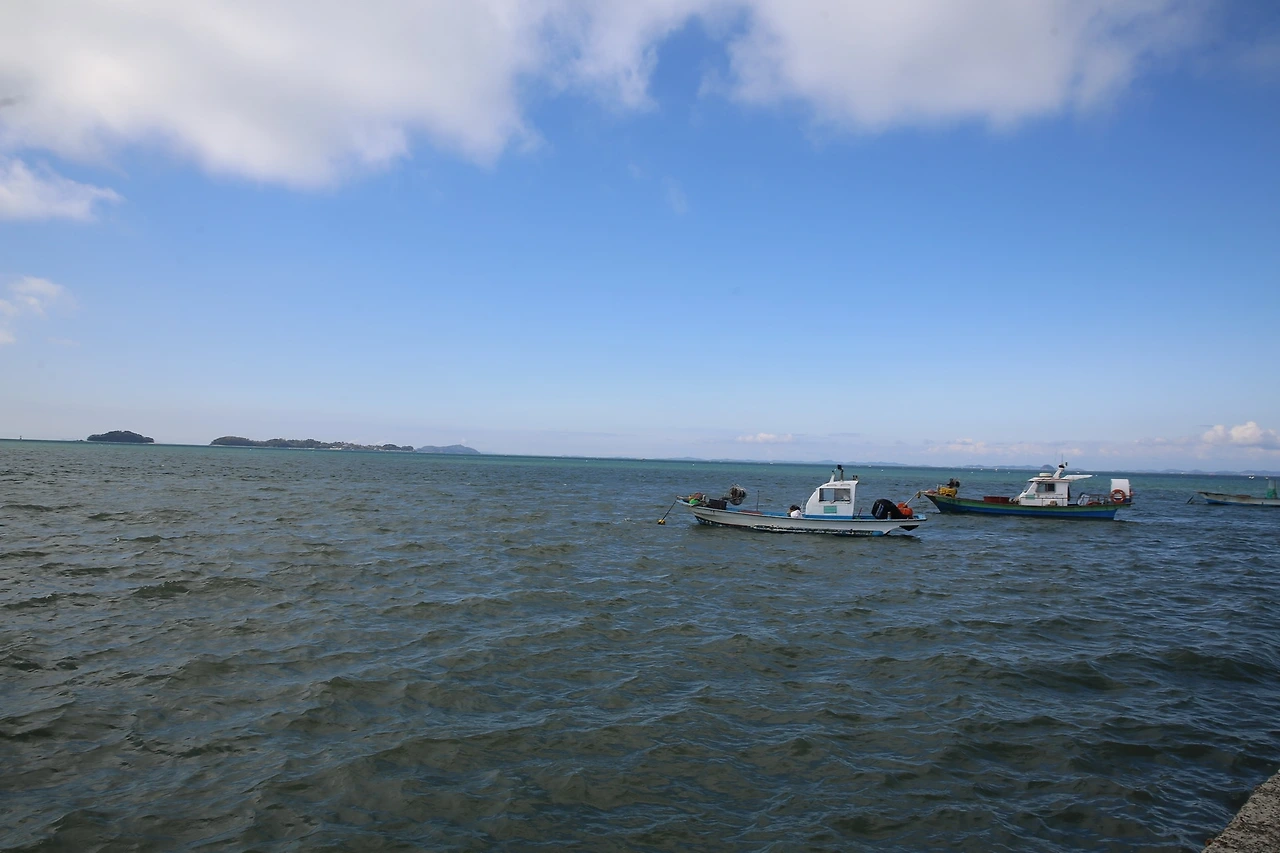 MG0A0978_новый размер.JPG