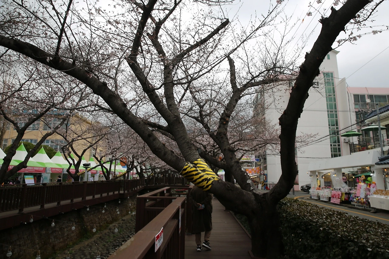 MG0A6189_новый размер.JPG