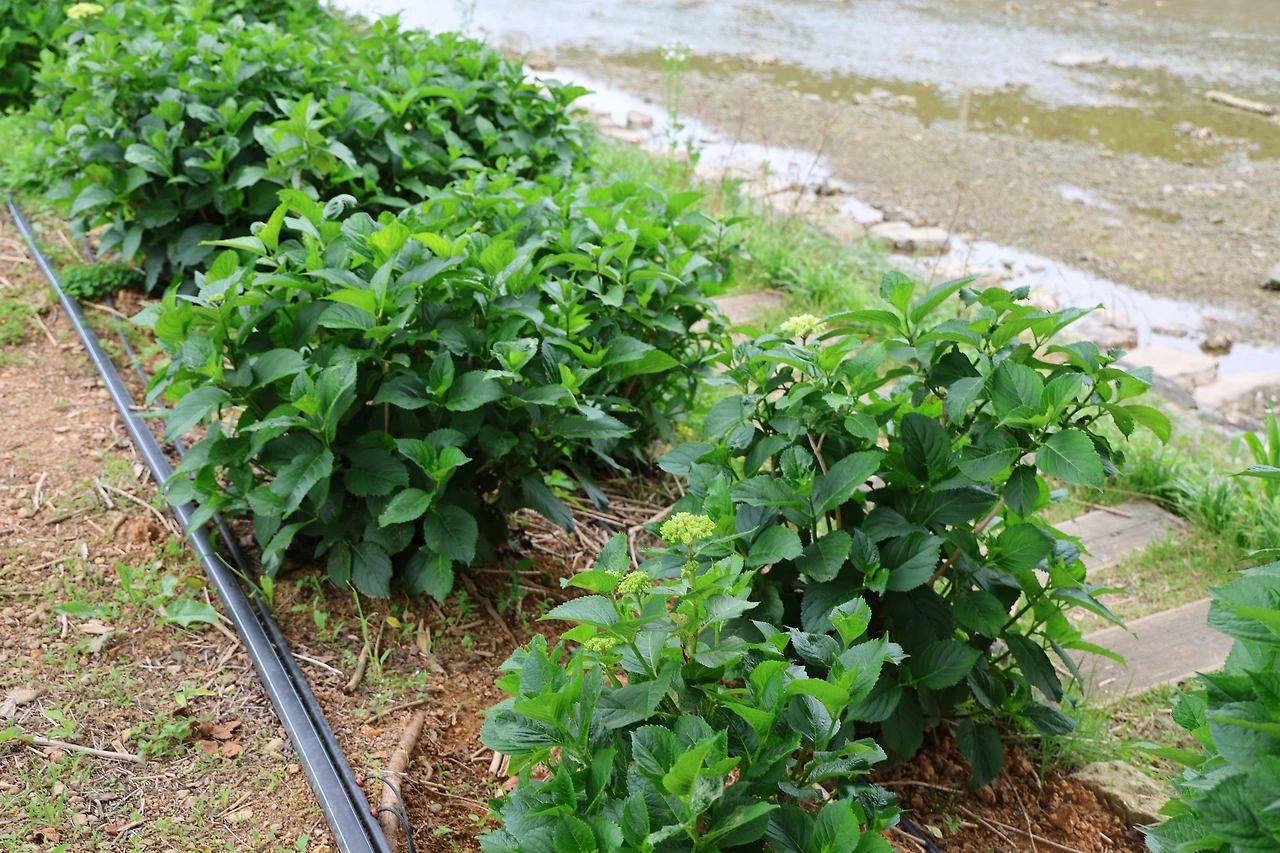 0R5A4324_новый размер.JPG