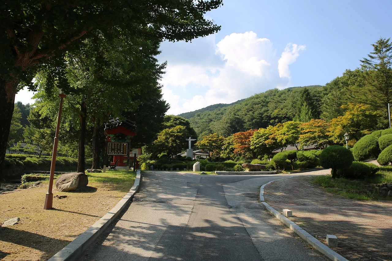 MG0A0508_новый размер.JPG