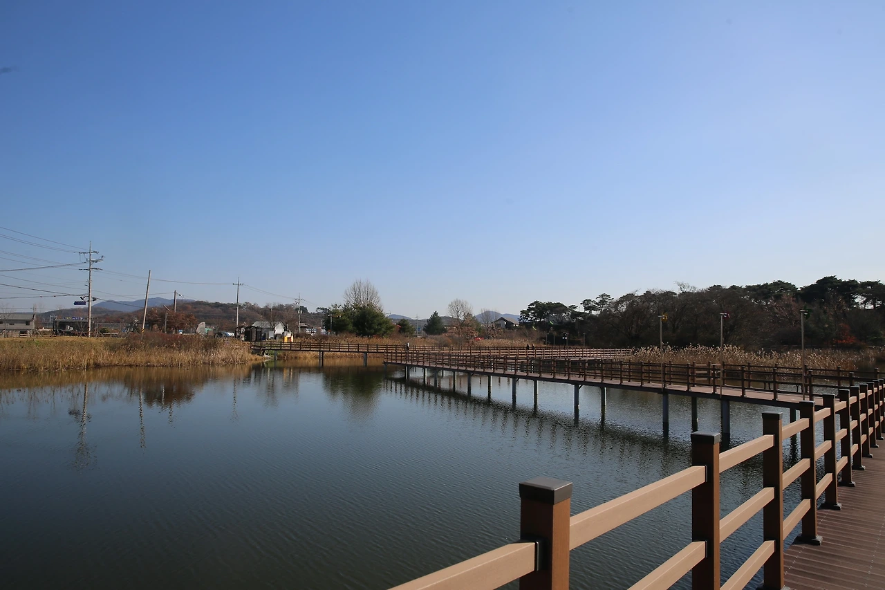 MG0A2706_новый размер.JPG