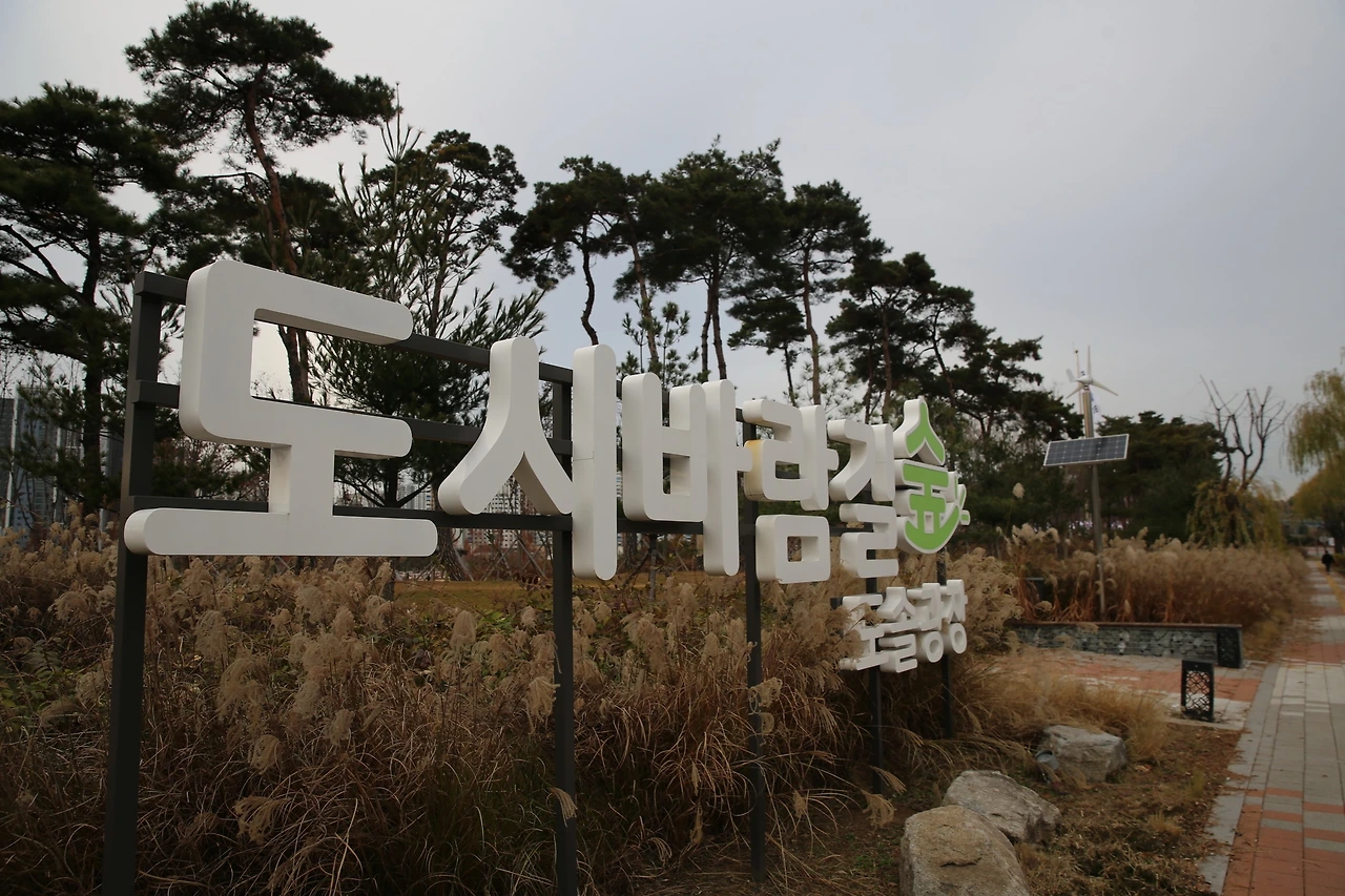 MG0A4463_новый размер.JPG