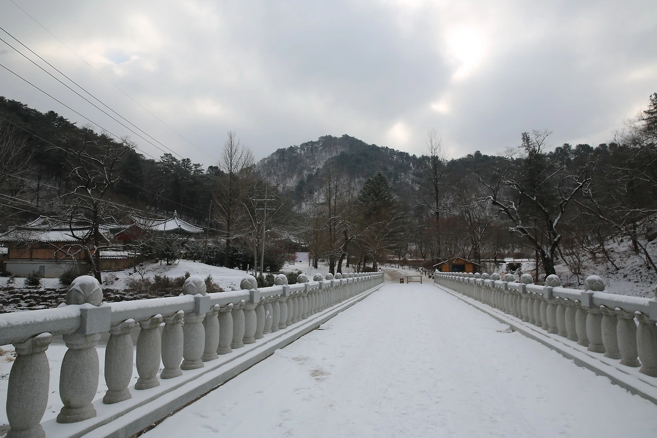 MG0A6335_новый размер.JPG