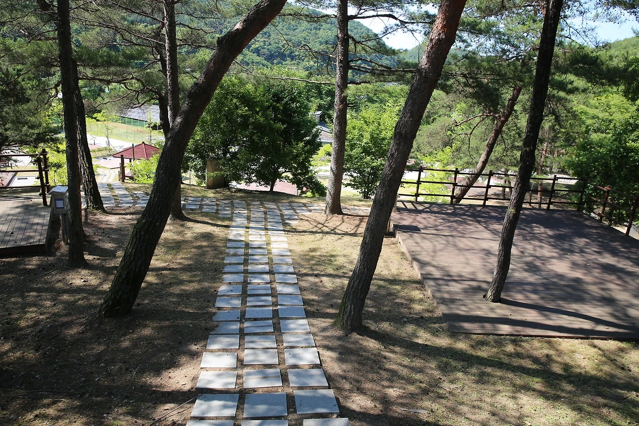 MG0A7938_новый размер.JPG