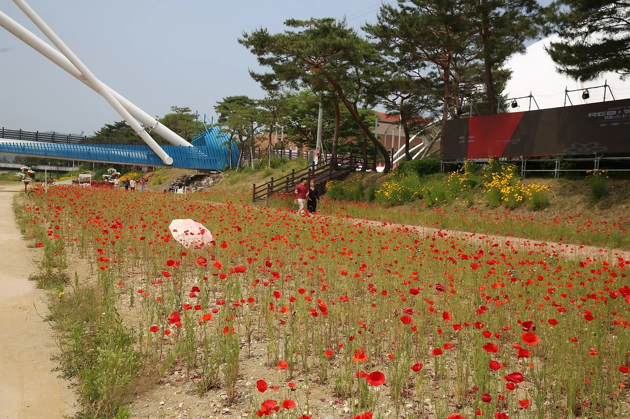 MG0A4305_новый размер.JPG