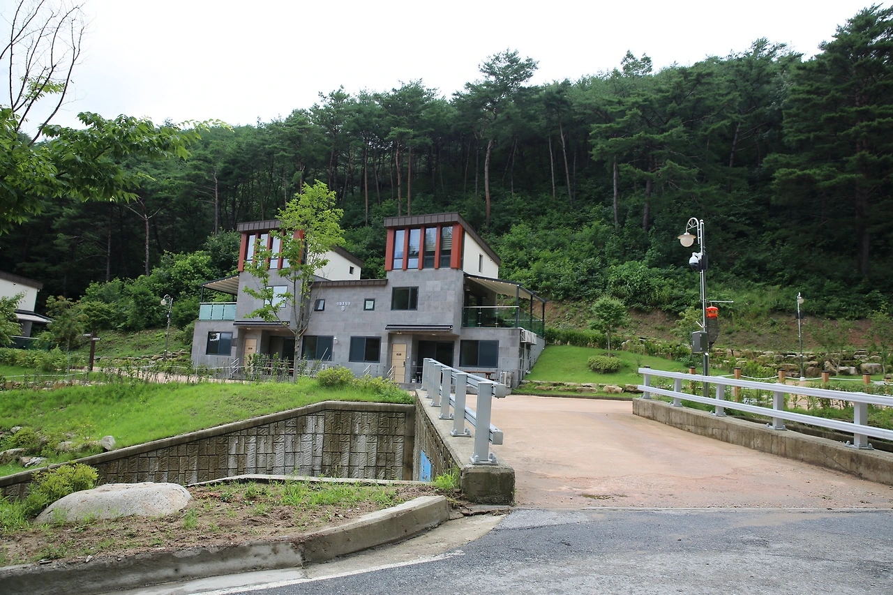 MG0A6544_новый размер.JPG