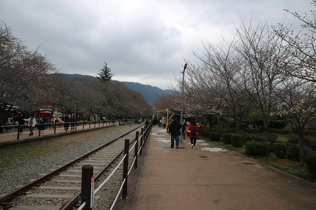 MG0A6234_новый размер.JPG