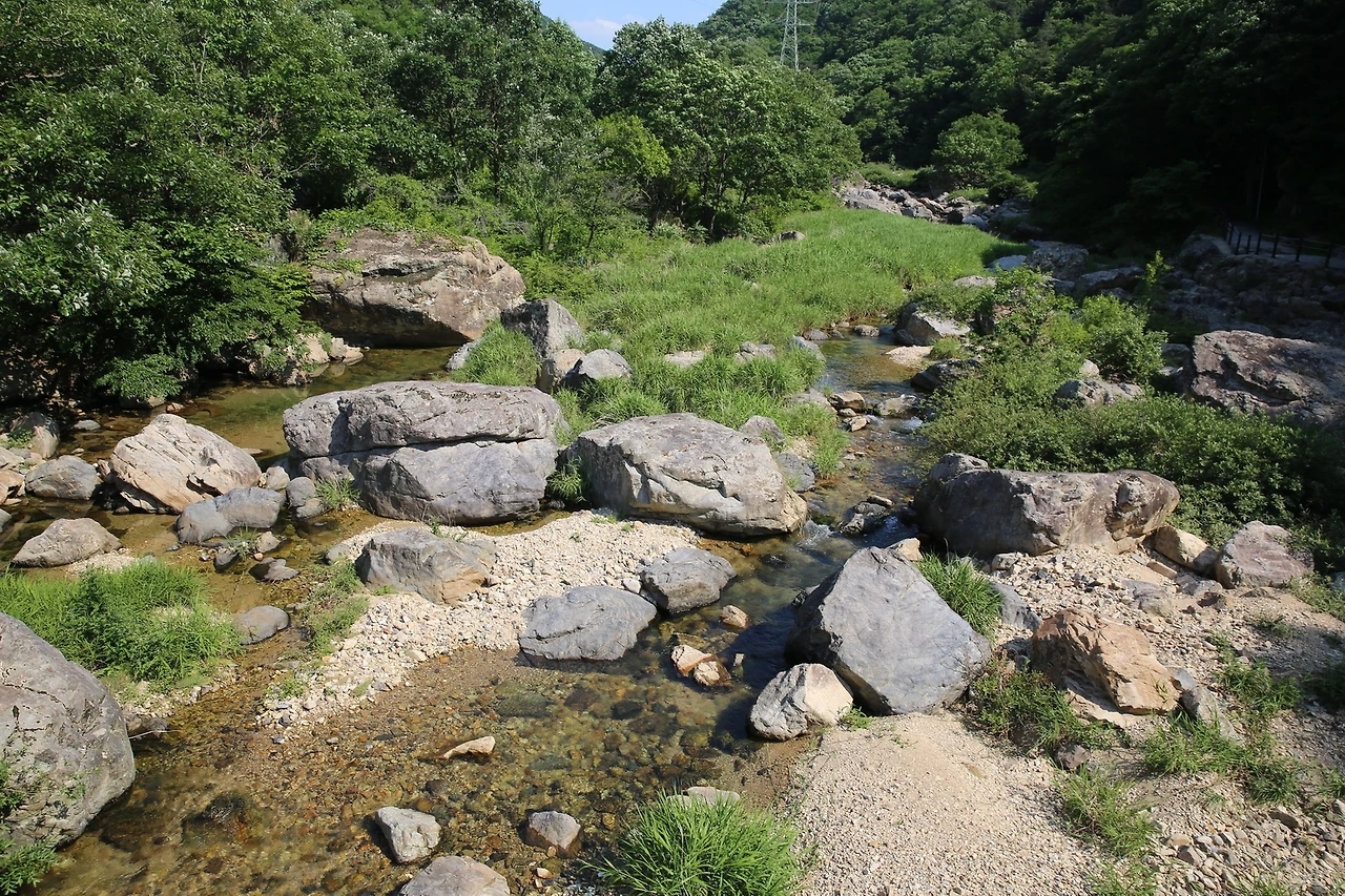 MG0A1565_новый размер.JPG