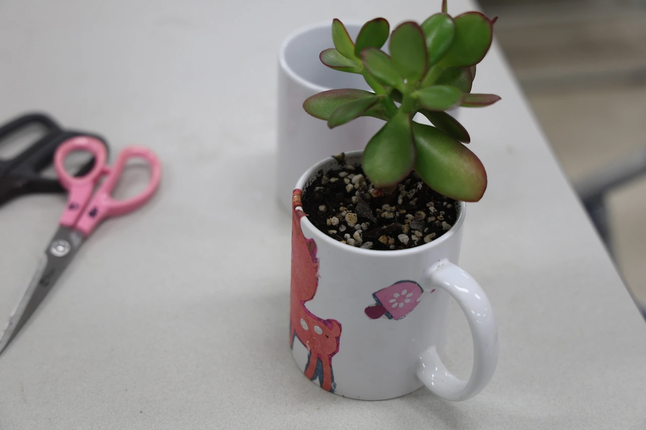 0R5A8863_новый размер.JPG