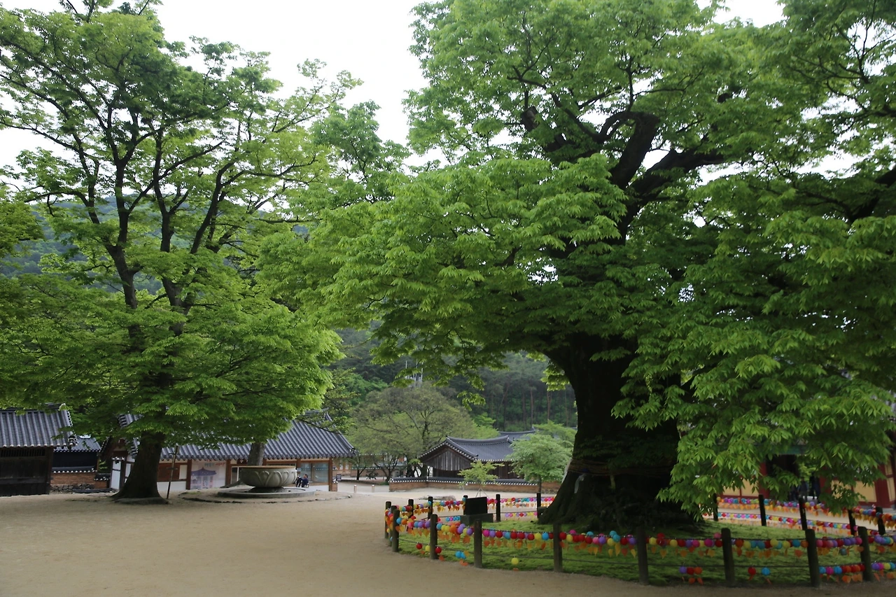 MG0A0618_новый размер.JPG