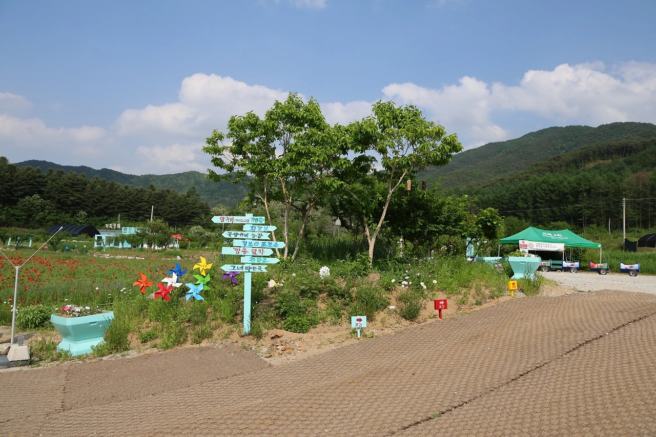 0R5A1520_новый размер.JPG