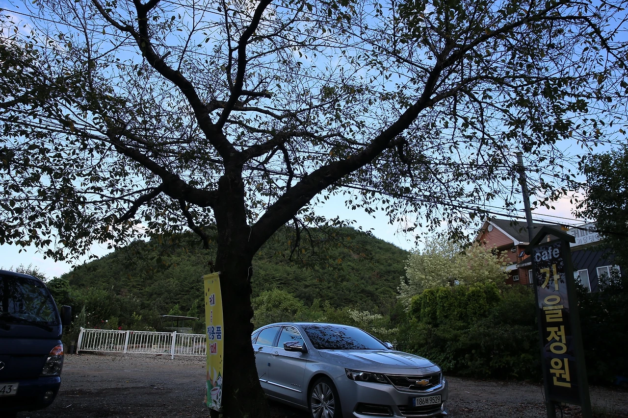 MG0A8796_новый размер.JPG