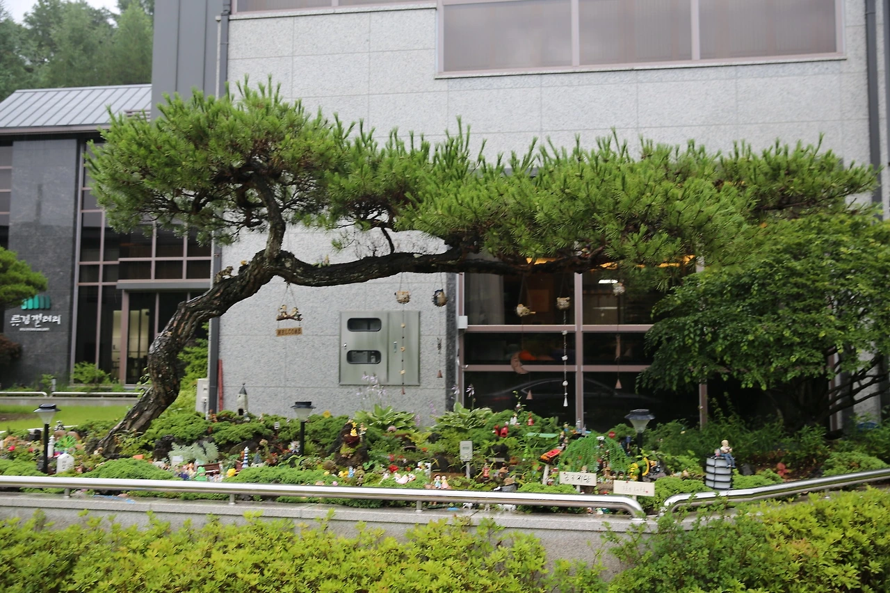 MG0A6233_новый размер.JPG