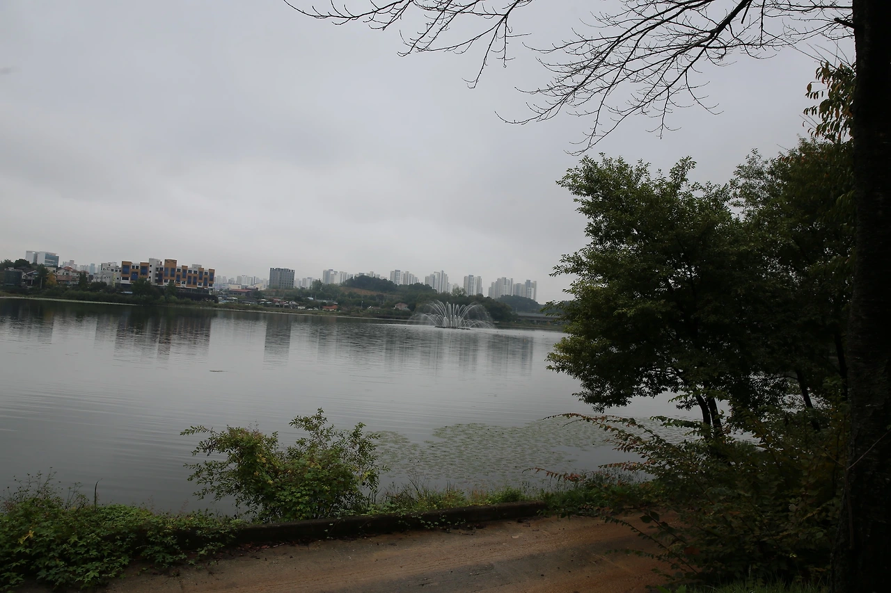 MG0A5215_новый размер.JPG