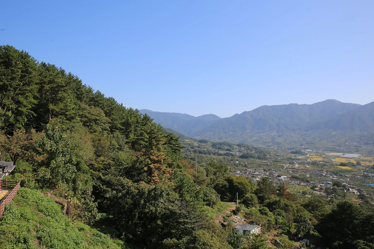 MG0A6118_новый размер.JPG