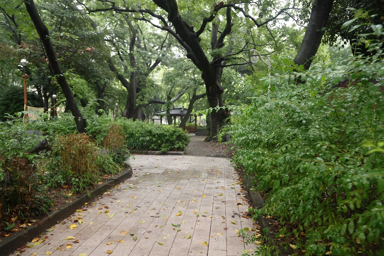 0R5A1441_новый размер.JPG