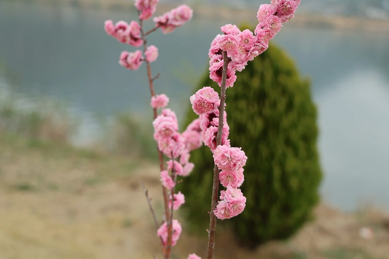 0R5A4426_новый размер.JPG