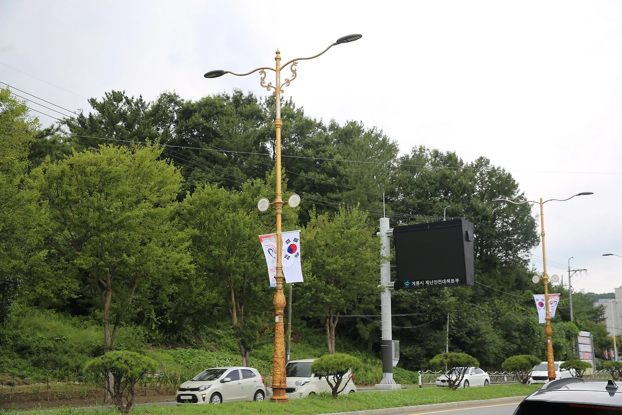 MG0A8706_новый размер.JPG