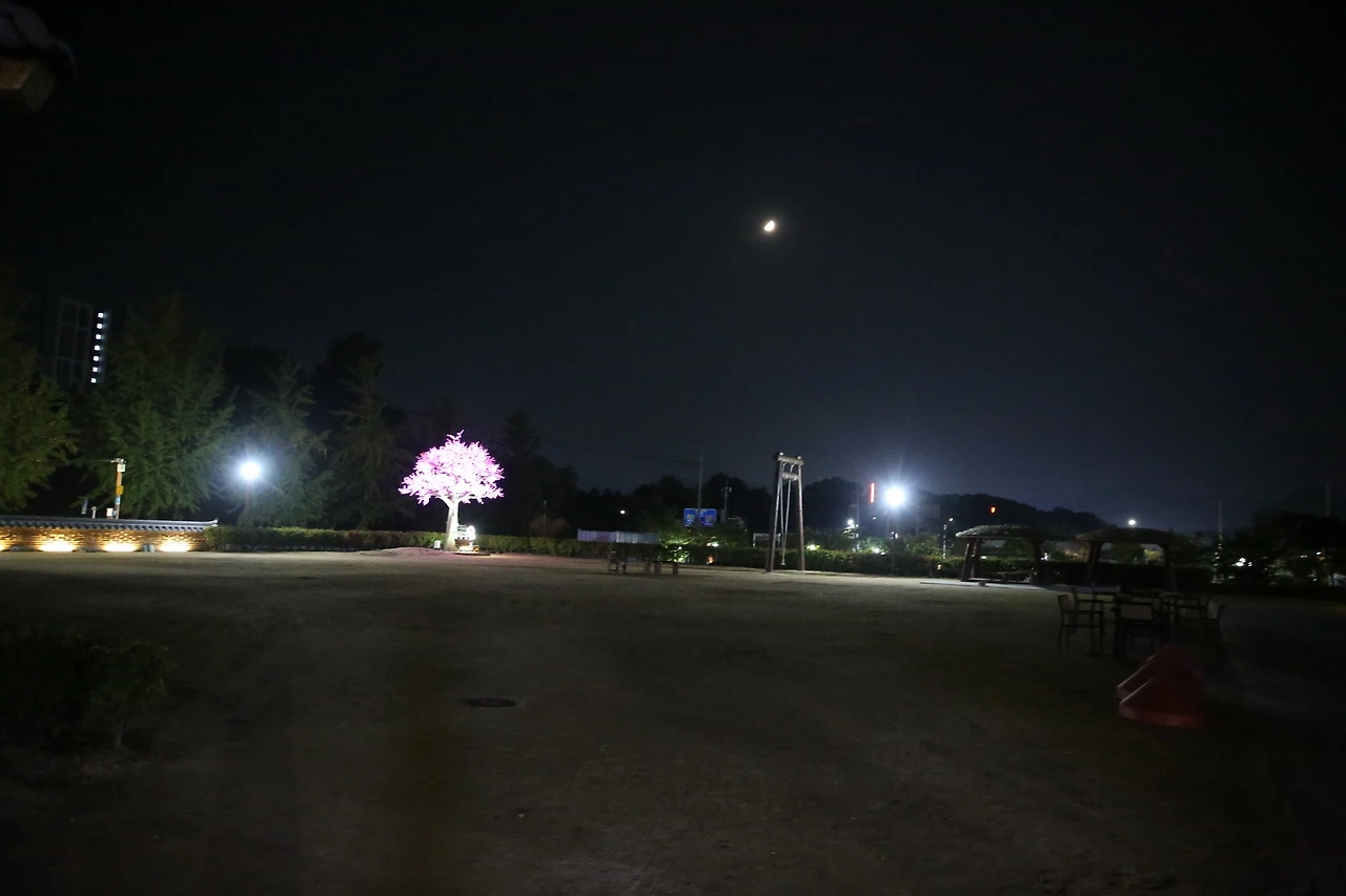 MG0A4576_новый размер.JPG