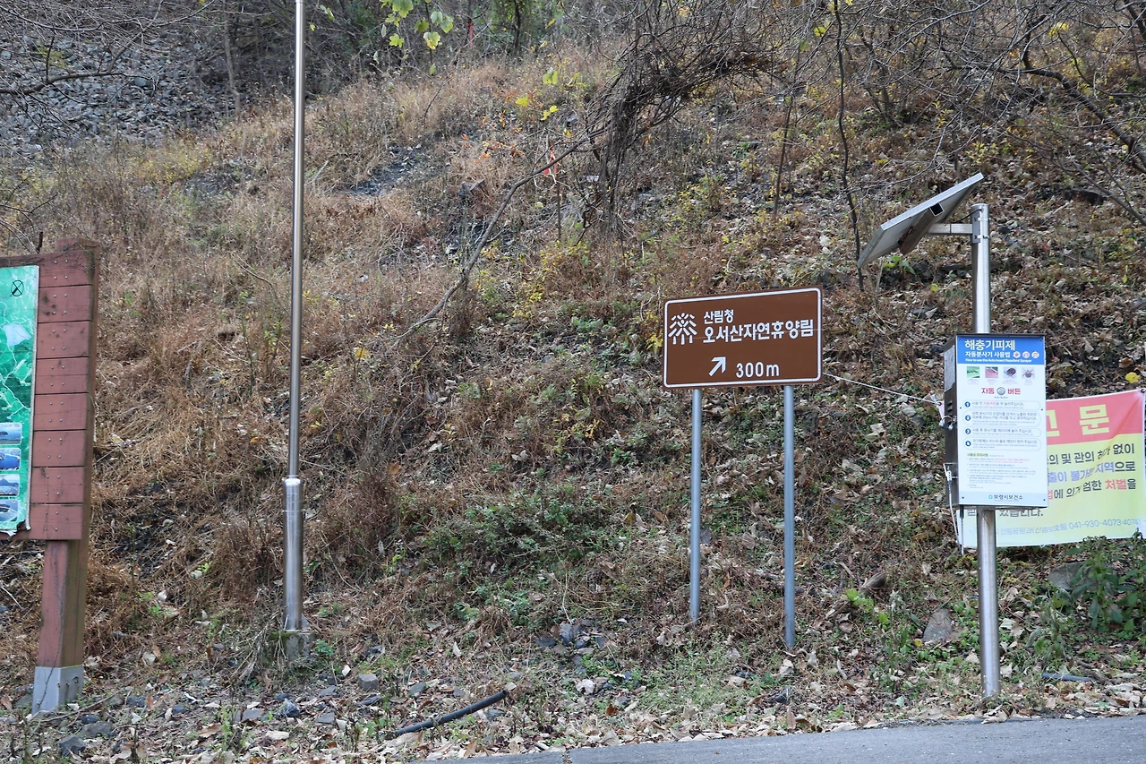 0R5A3085_новый размер.JPG