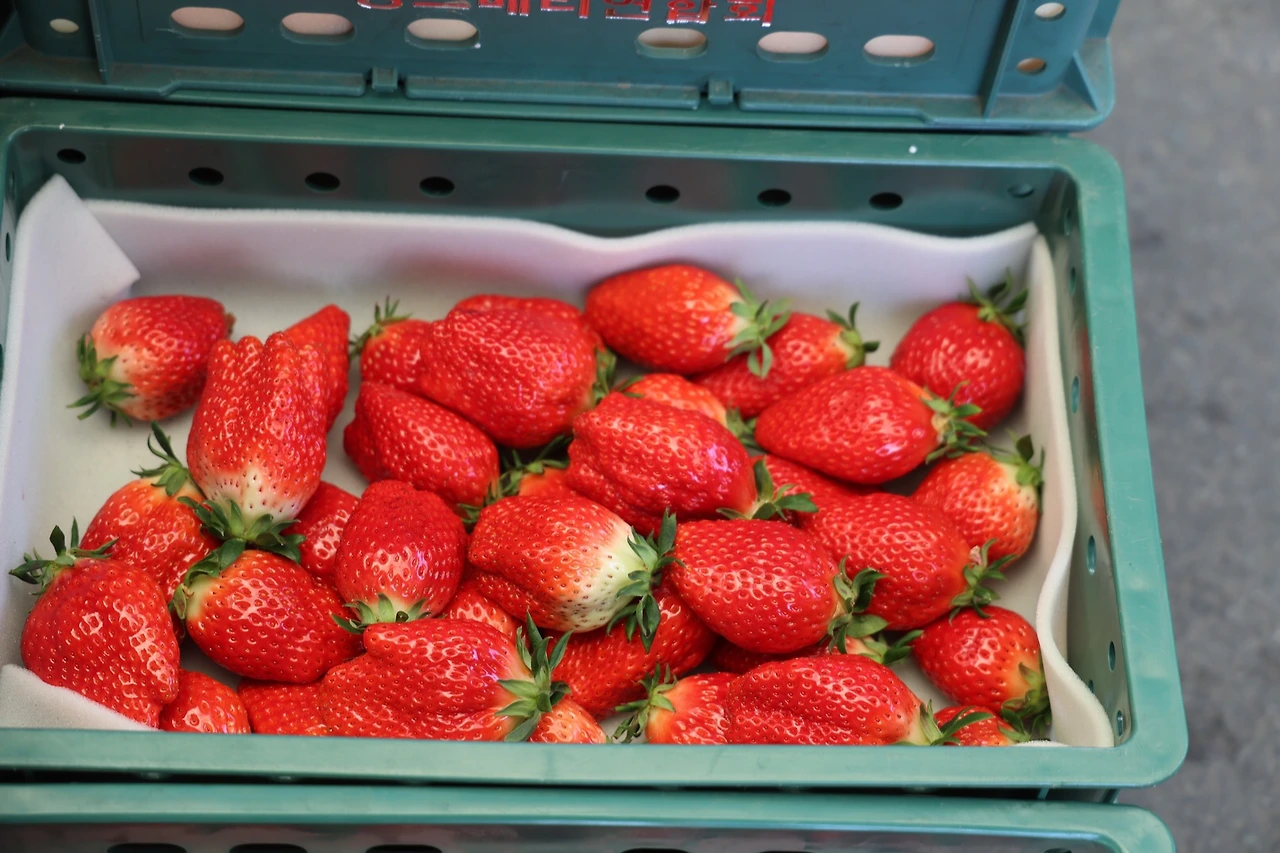 0R5A6444_новый размер.JPG