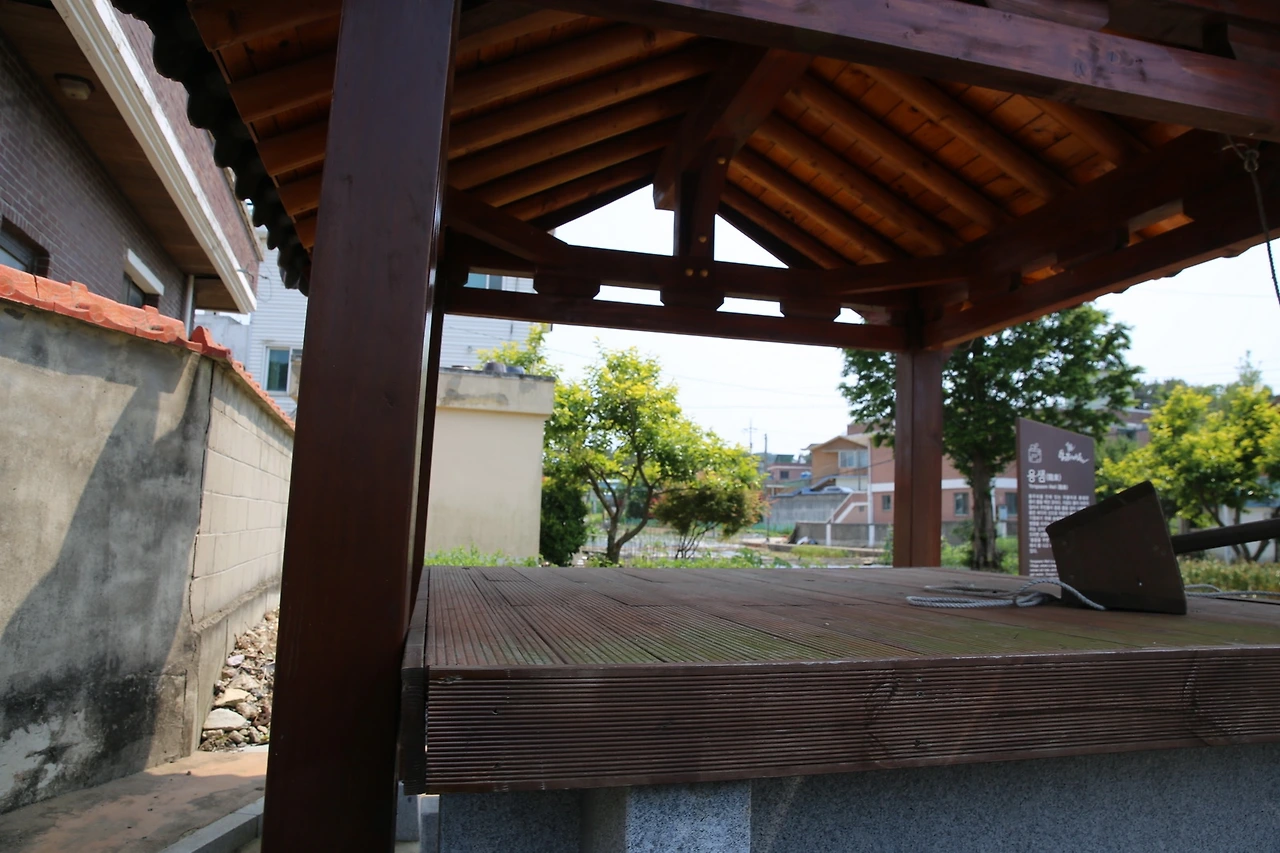 MG0A6309_новый размер.JPG