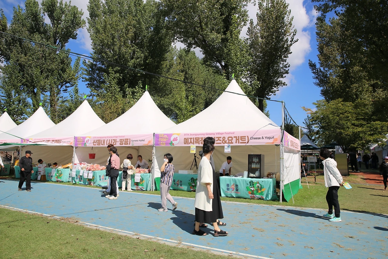 MG0A2332_новый размер.JPG