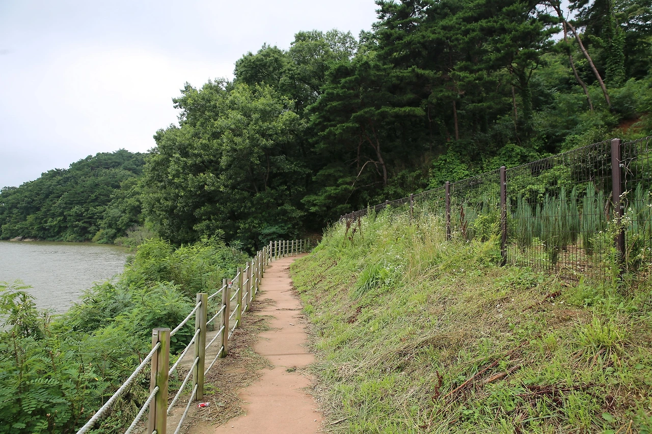 MG0A3585_новый размер.JPG