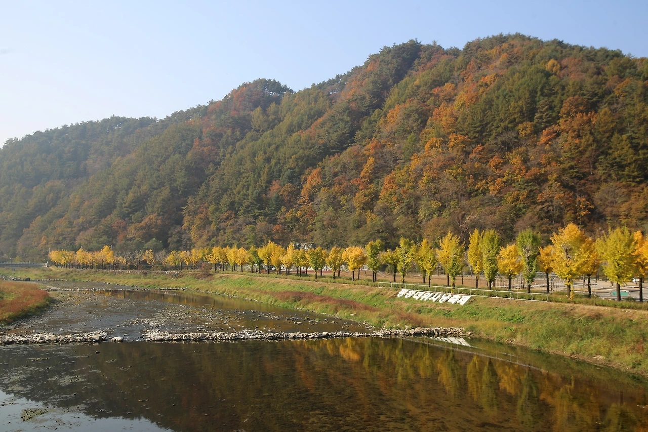 MG0A7894_новый размер.JPG