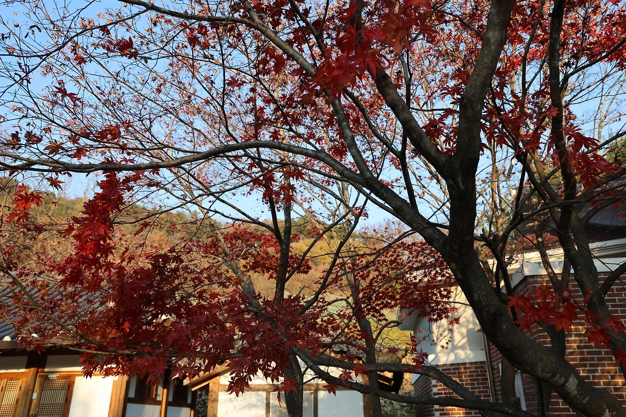 0R5A2964_новый размер.JPG