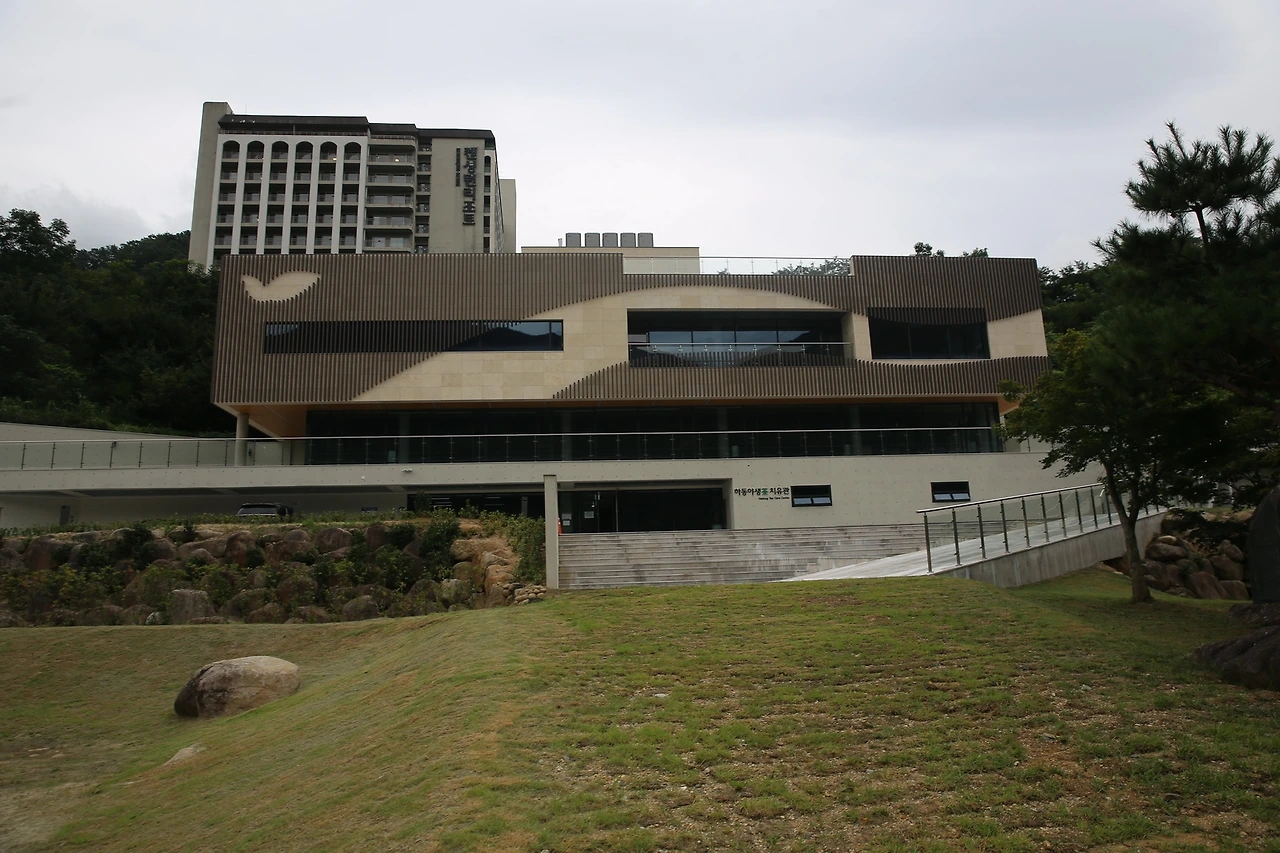 MG0A8315_новый размер.JPG