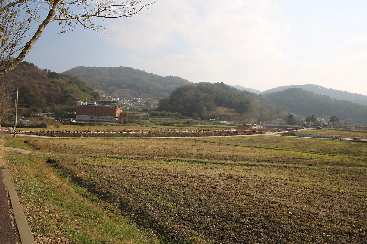 MG0A0806_новый размер.JPG