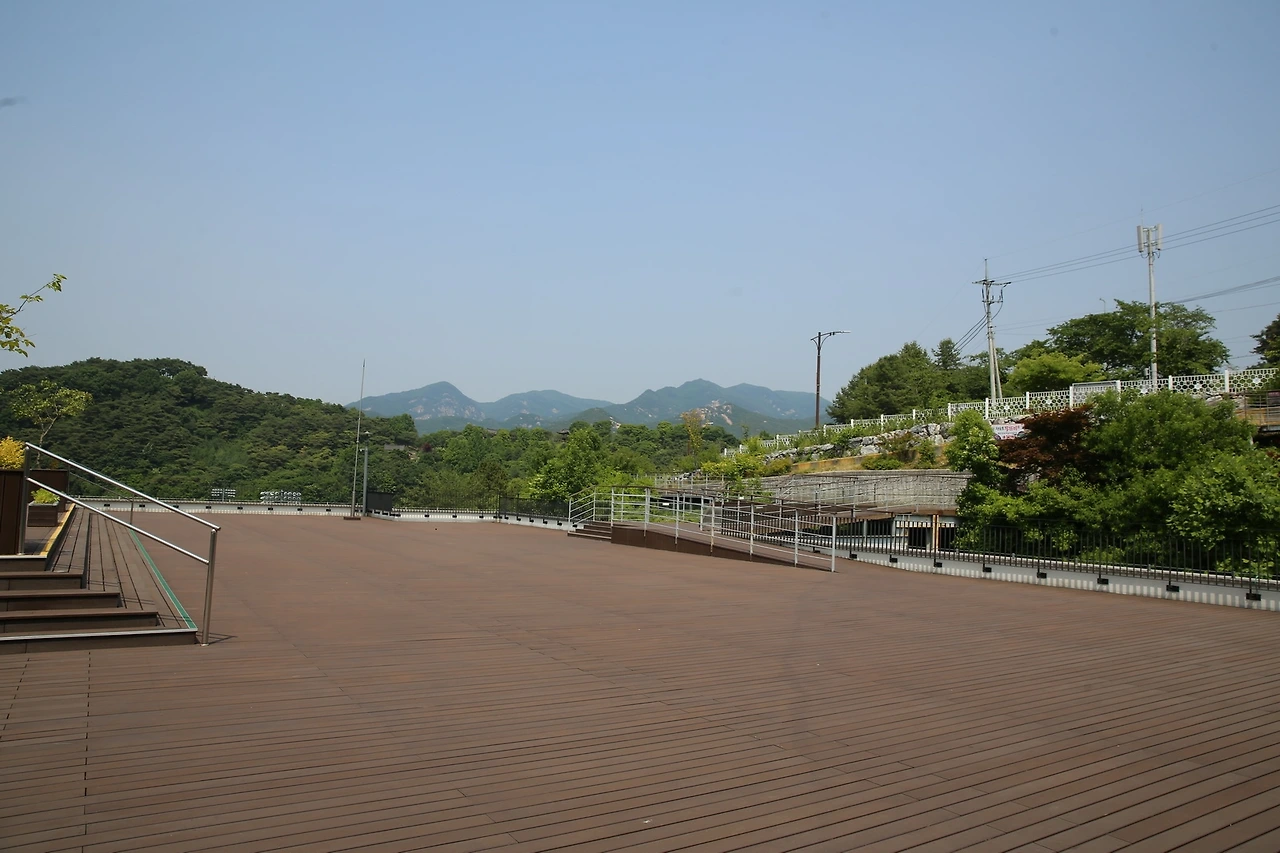 MG0A4415_новый размер.JPG