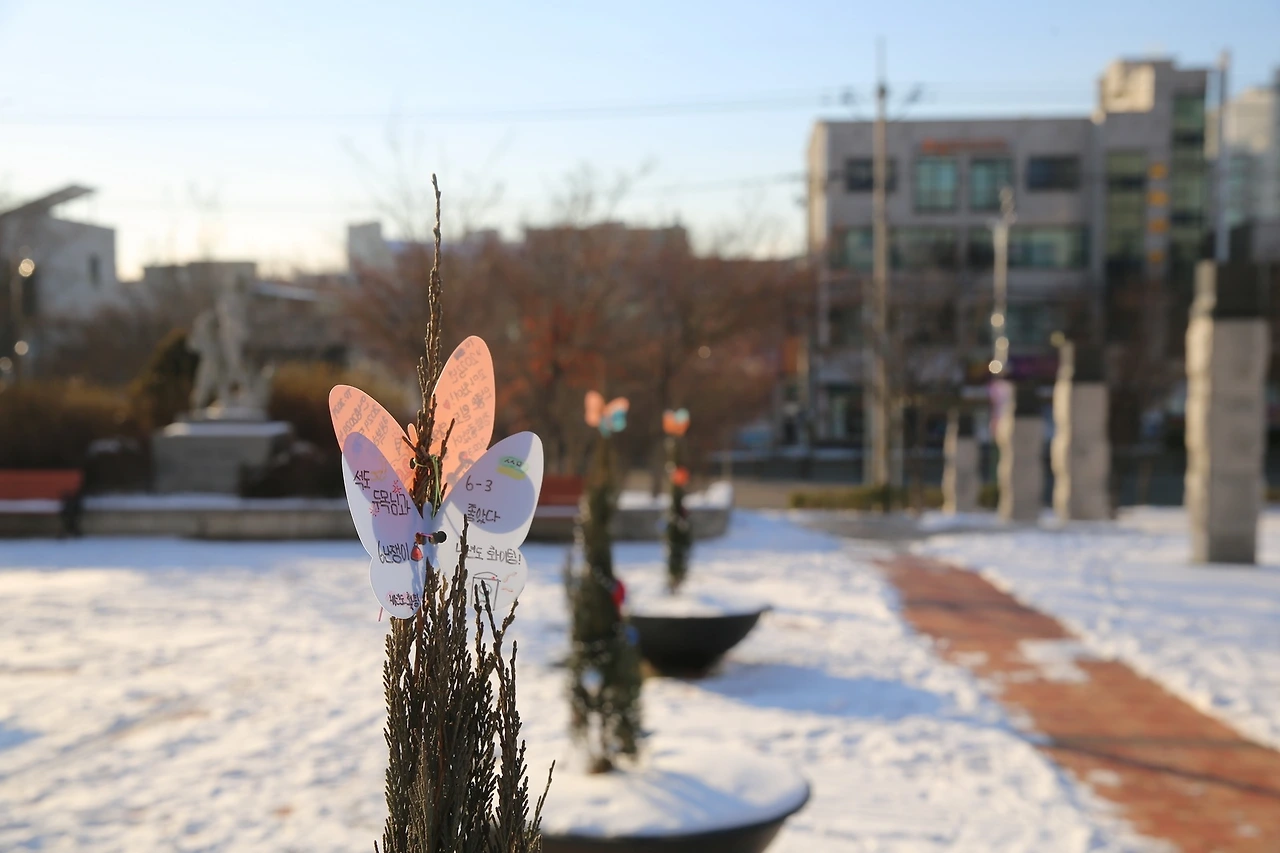 MG0A5147_новый размер.JPG