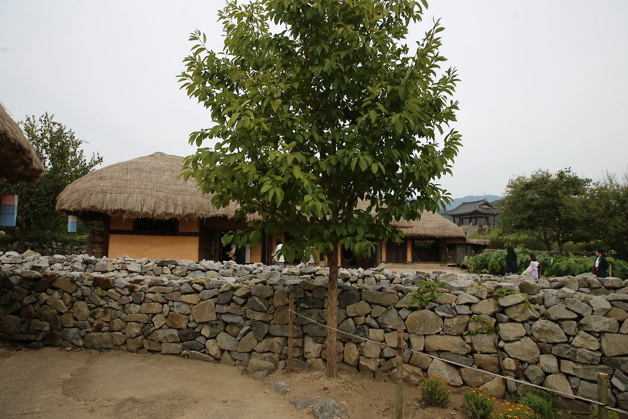 MG0A5228_новый размер.JPG