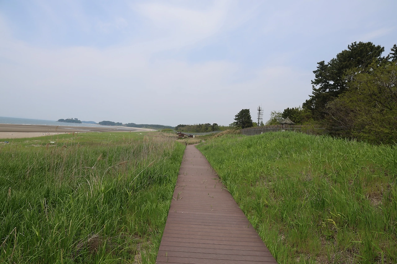 0R5A0380_новый размер.JPG