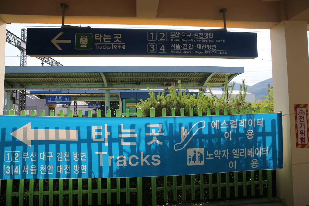 MG0A1610_новый размер.JPG